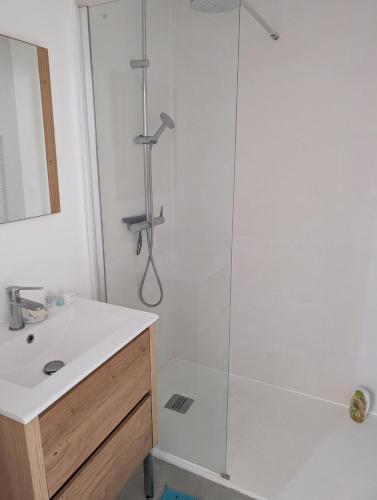 a bathroom with a shower with a sink and a mirror at Cottage near Clisson in Gétigné