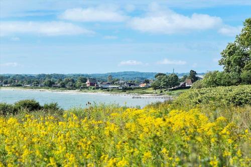 a field of yellow flowers next to a river at 40387-Juelsminde-Frede-juels-vej-306 in Sønderby