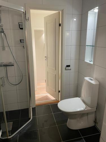a bathroom with a toilet and a walk in shower at Modern and nice apartment, near the university, UIA in Kristiansand