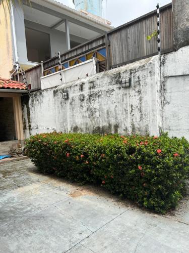 a bush with red flowers in front of a building at Casa de veraneio in Salinópolis