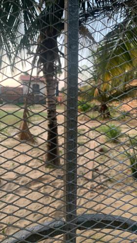 a giraffe behind a cage in a zoo at Casa de veraneio in Salinópolis