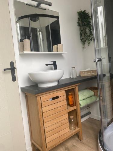 a bathroom with a sink and a mirror at Studio La Bénéc' in Fécamp