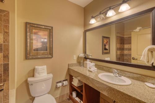 a bathroom with a toilet and a sink and a mirror at The Lodge at Deadwood in Deadwood