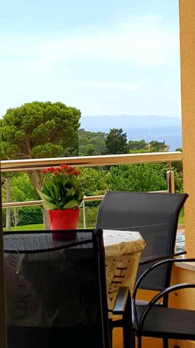 Apartman Andrea i Toni