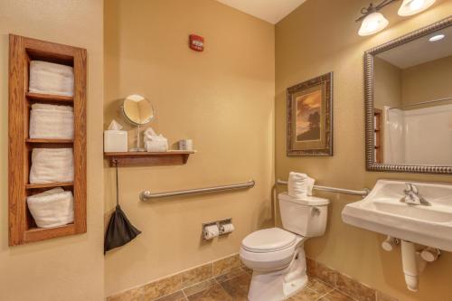 a bathroom with a toilet and a sink and a mirror at The Lodge at Deadwood in Deadwood