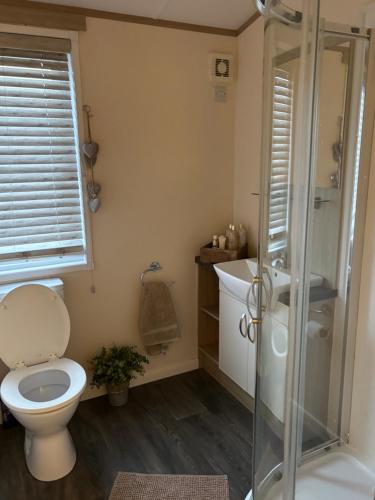 a bathroom with a toilet and a glass shower at Rachels Luxury Tattershall Hot Tub & Fishing Retreat in Tattershall