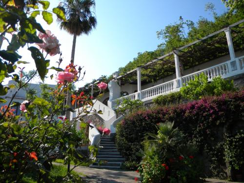 Gallery image of Hotel Parco Conte in Ischia