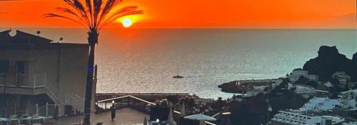 a sunset over the ocean with a palm tree at Apartamentos Natural Park in Puerto Rico de Gran Canaria