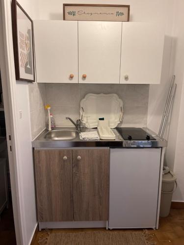 a small kitchen with a sink and a counter top at 2 rooms with garden in Longchamp-sur-Aujon
