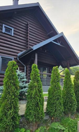 a group of trees in front of a house at Cottage MiniHouse in Kozevo