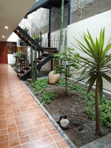 a courtyard with a palm tree and a staircase at China Chancay Hotel in Chancay