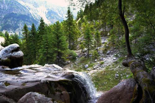 a waterfall in the middle of a mountain with trees at Ξενώνας Αλώνι-Guesthouse Aloni in Theodoriana