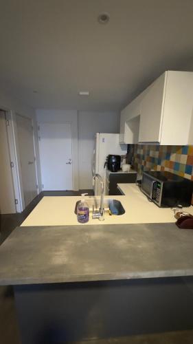 a kitchen with a sink and a counter top at Bosque Cósmico en la ciudad in San José