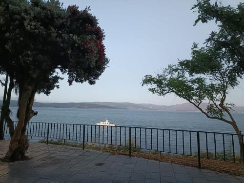 Φυσικό τοπίο κοντά σε αυτό το διαμέρισμα