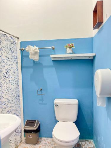a blue bathroom with a toilet and a sink at Hostal Edén in Moyogalpa