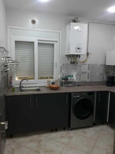 a kitchen with a sink and a washing machine at appartement T2 in Fort de lʼEau