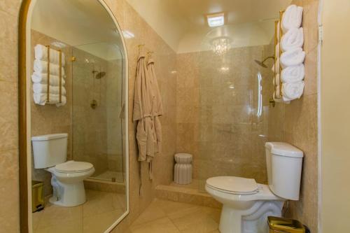 un bagno con wc e doccia di Castle St Croix a Christiansted