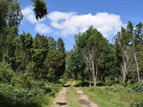 a dirt road in a field with trees at 9 person holiday home in Ljungbyhed-By Traum in Ljungbyhed