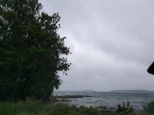 a view of a body of water with a tree at 5 star holiday home in VÄSTERVIK-By Traum in Västervik