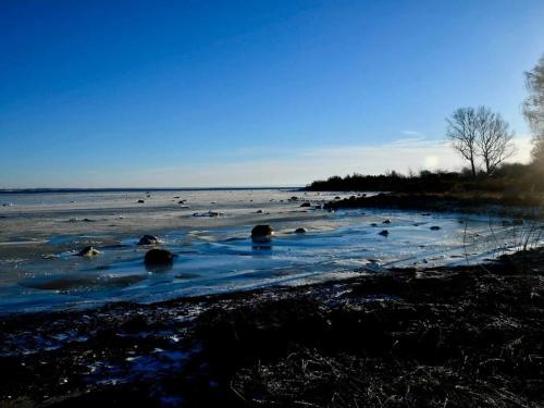 a group of people swimming in a body of water at 4 star holiday home in Halmstad in Halmstad