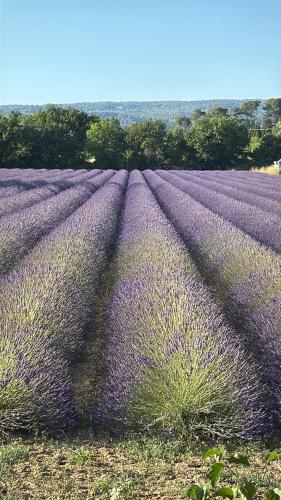 Appartement Confortable en Provence