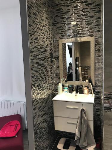 a bathroom with a sink and a mirror at Loft 11 personnes Sauna Jacuzzi in Mouscron