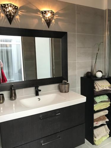 a bathroom with a sink and a mirror at Loft 11 personnes Sauna Jacuzzi in Mouscron