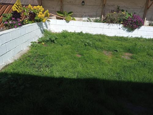 a grassy yard with a retaining wall and flowers at Departamentos y tinajas Blanquita mahuida in El Quisco