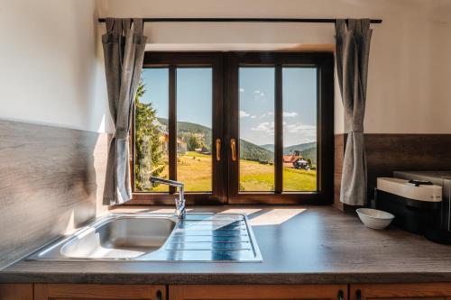 a kitchen with a sink and a window at Apartmány Na Salaši in Pec pod Sněžkou
