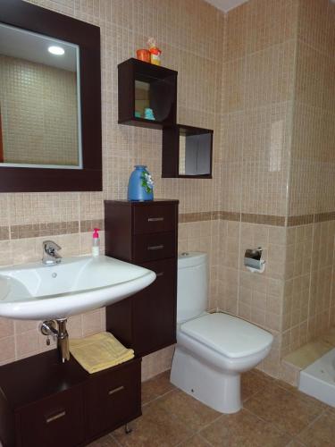 a bathroom with a sink and a toilet and a mirror at Apartamento Tossasea in Tossa de Mar