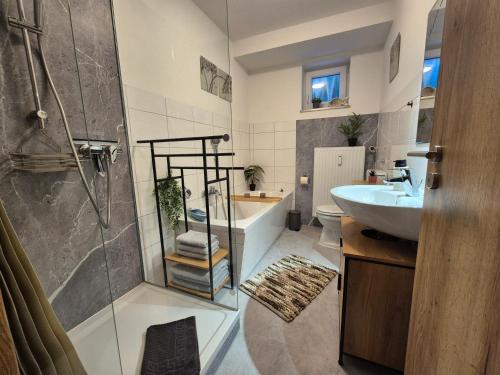 a bathroom with a shower and a sink at Evelyns Apartment Kurpark Idylle in Bad Bocklet