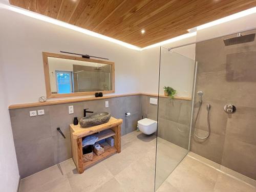 a bathroom with a shower and a toilet and a mirror at Weinturmsruhe in Bad Windsheim