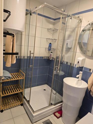 a bathroom with a shower and a sink at Pretty Modest Apartment in Prizren