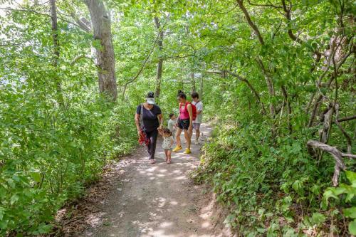 a group of people walking down a trail with a dog at Nature Oasis Bar Room in Dundas