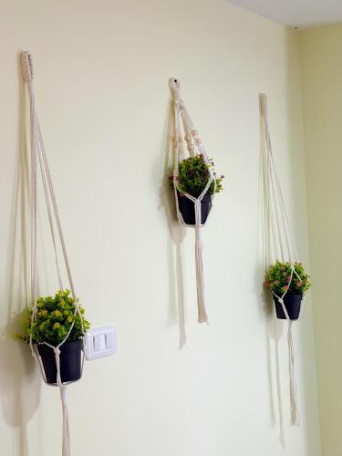 four potted plants are hanging on a wall at San Rafael apartamento amplio y cómodo cerca del río y parque principal in San Rafael