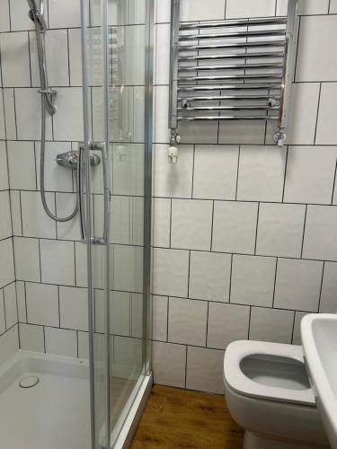 a bathroom with a shower and a toilet and a sink at 3 Green Cloth in Hackington