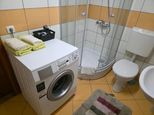 a bathroom with a washing machine and a toilet at Apartment near center in Sarajevo