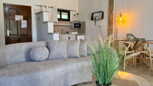 a living room with a gray couch and a kitchen at נוף בראשית - Boutique Suites in Biriyya