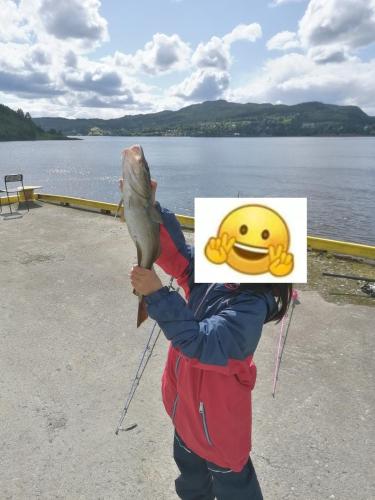 a person holding a fish with a smiley face on a sign at Large house with sea view in Steinkjer