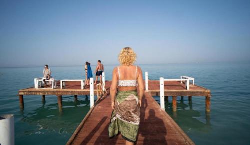 Fox house resort Apartment hotel