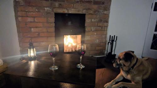 a dog sitting at a table with two glasses of wine at Magpie Cottage in Ledbury