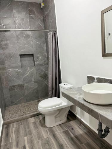 a bathroom with a toilet and a sink and a shower at Lofts en Colonia Tec in Monterrey