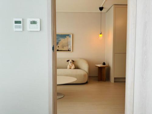 a dog sitting on a couch in a living room at 속초씨에 머물다, sokchosea in xiella in Sokcho