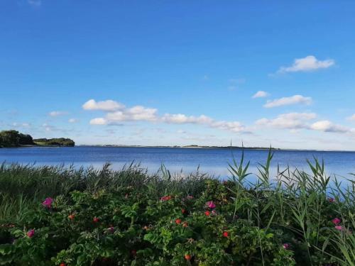 a view of a body of water with flowers at Light-filled Retreat in Boddum - By Traum Ferienwohnungen in Boddum