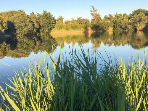 a view of a lake with trees in the background at 4 person holiday home in Tønder-By Traum in Tønder