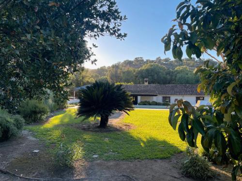 En have udenfor Finca El Búho Oak Natural Park