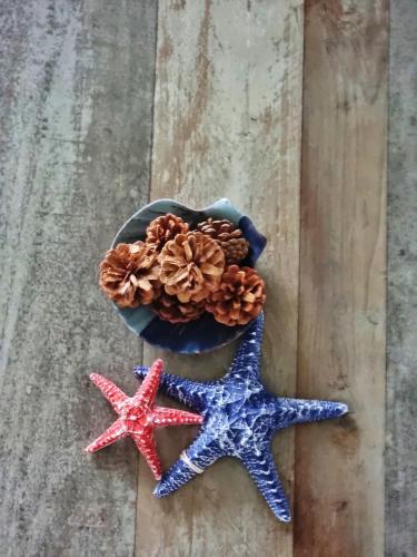 two starfish on the floor next to a bowl with pine cones at Astria Homes- your beach front home in Hulhumale