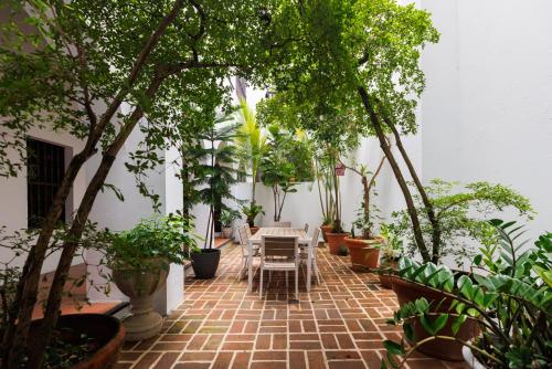 Ein Garten an der Unterkunft Amazing Home! Min to El Morro