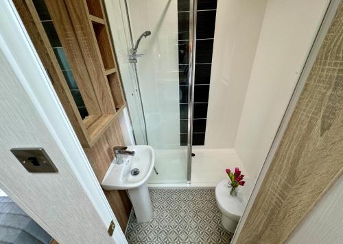 a bathroom with a shower and a toilet and a sink at Aber Bay Holiday Park in Aberystwyth