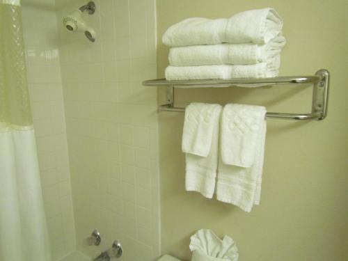 Koupelna v ubytování Romana Hotel - Houston Southwest